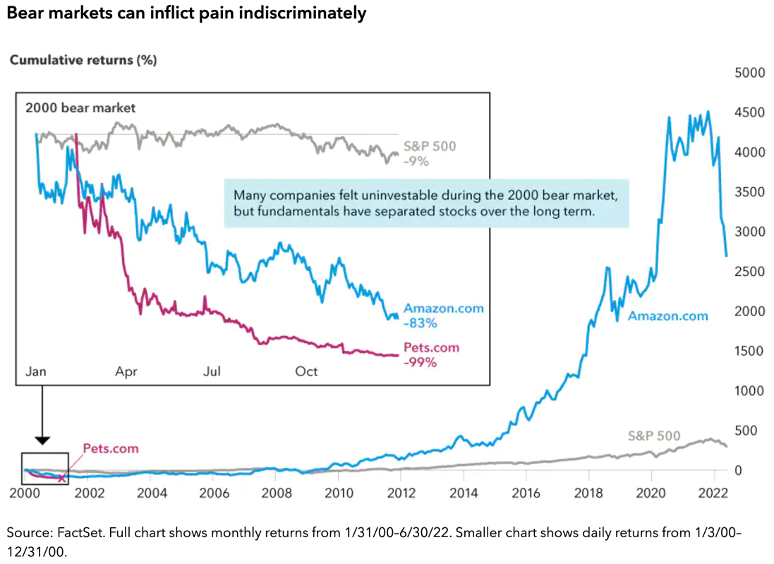 The Effect of 2000 Bear Market on Pets.com vs Amazon The Effect of 2000 Bear Market on Pets.com vs Amazon