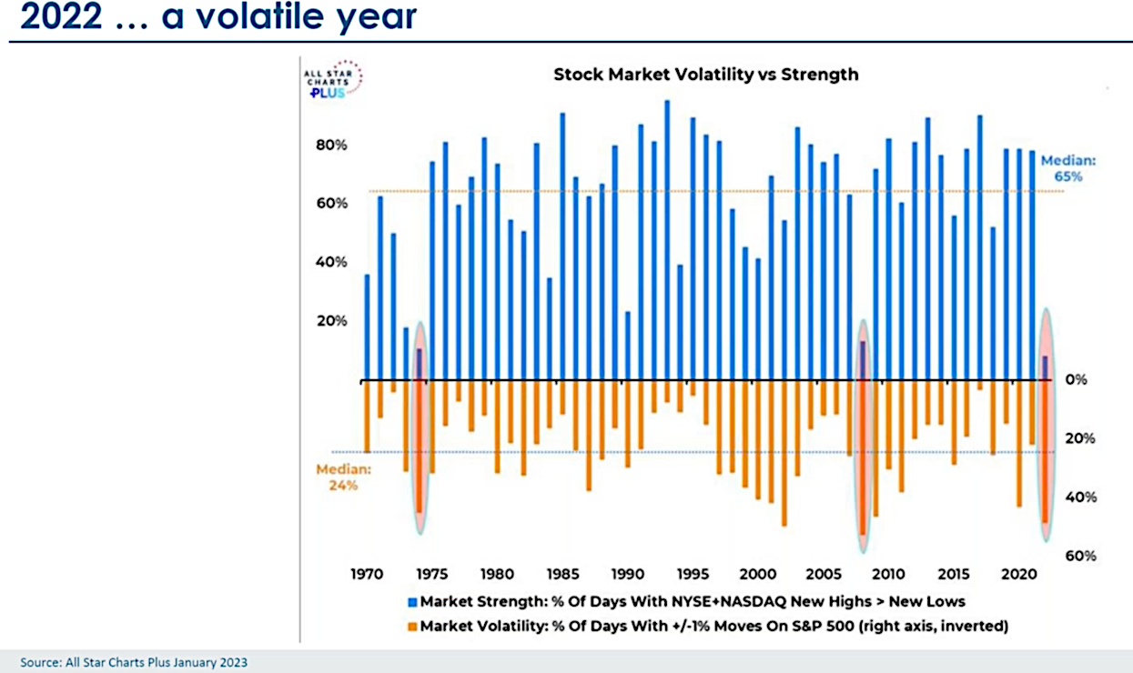 2022 Stock Market Volatility and Strengths