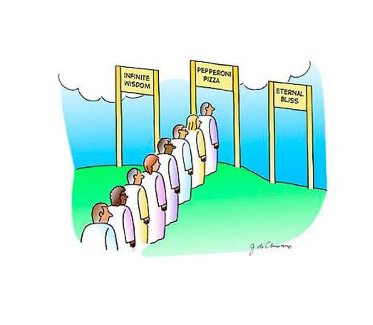 Which Would You Choose Which Would You Choose